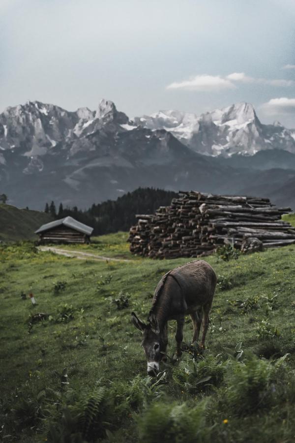 Hotel Gaestehaus Eder Sankt Martin am Tennengebirge Exteriér fotografie