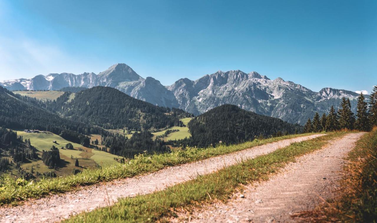 Hotel Gaestehaus Eder Sankt Martin am Tennengebirge Exteriér fotografie